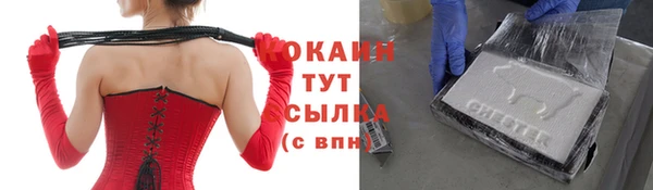 меф Арсеньев