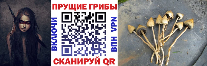 Псилоцибиновые грибы Magic Shrooms  Струнино 
